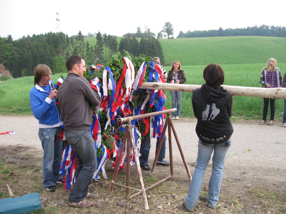 Maibaum, Maibaum, Maibaum... - 