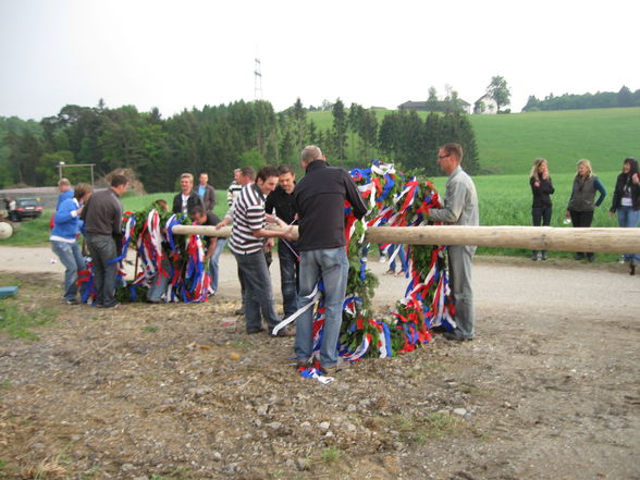 Maibaum, Maibaum, Maibaum... - 