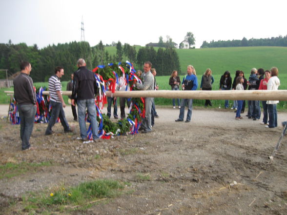 Maibaum, Maibaum, Maibaum... - 