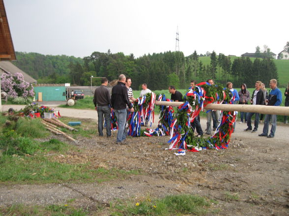 Maibaum, Maibaum, Maibaum... - 