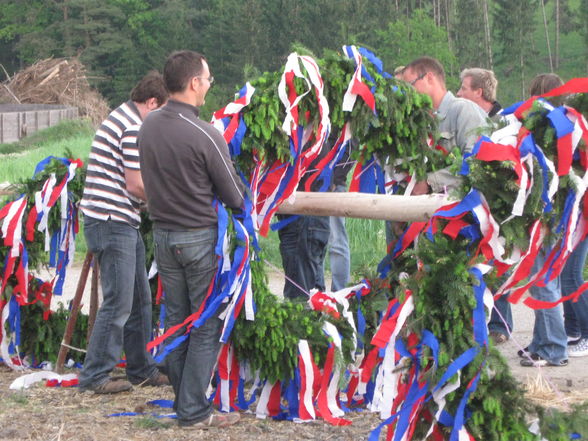 Maibaum, Maibaum, Maibaum... - 