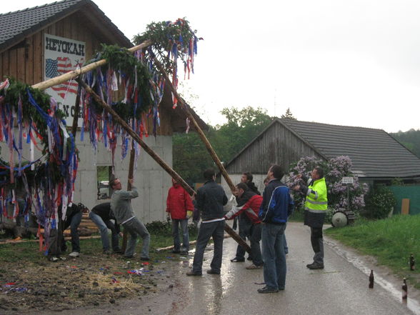 Maibaum, Maibaum, Maibaum... - 