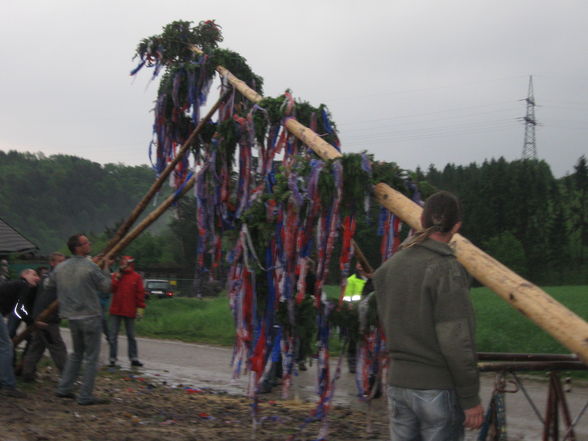 Maibaum, Maibaum, Maibaum... - 