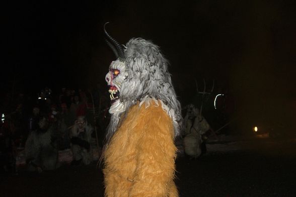 Krampusauffahrt 2008 - 