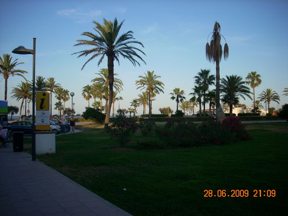 Mallorca 2009 - 