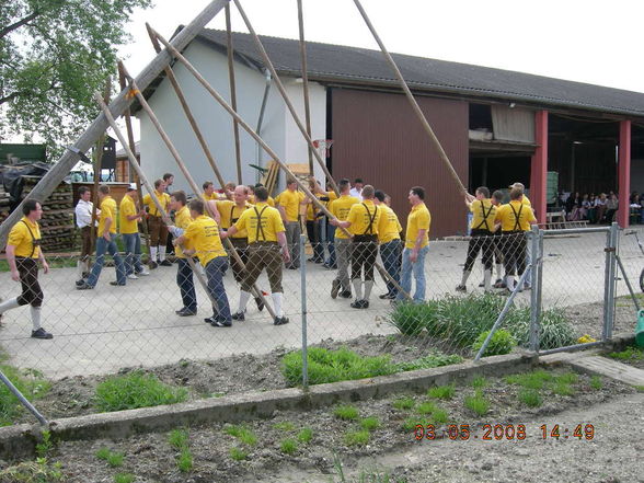 Maibaum aufstellen der LJ Naarn - 