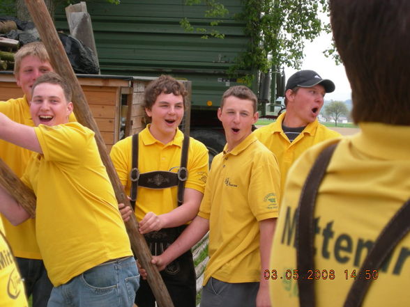 Maibaum aufstellen der LJ Naarn - 