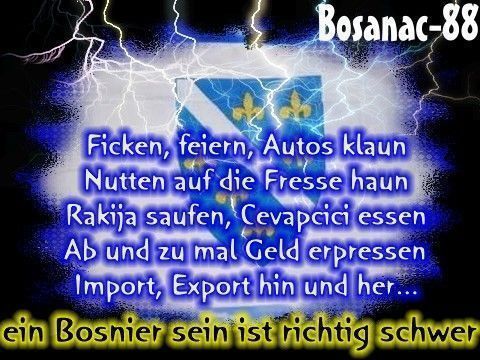 boSnieN - 