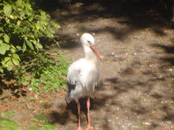 Mit meinen Süßen im Tierpark - 