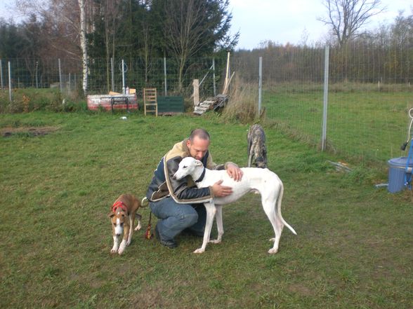 Unsere Hunde Rizo und Palomo - 