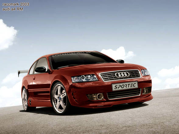 ``AuDi´´ - 