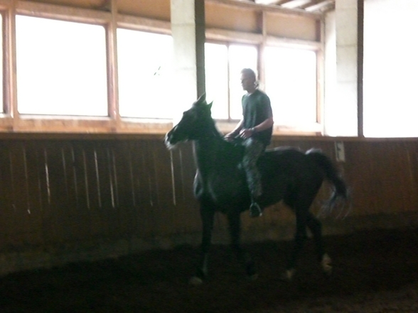 Beim Reiten  - 