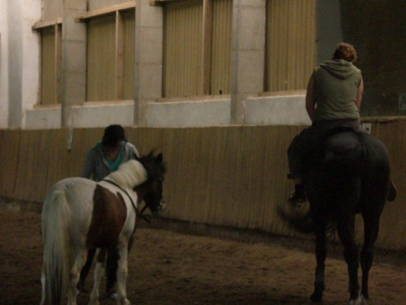 Beim Reiten  - 