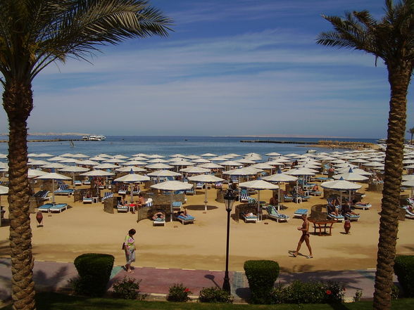 Hurghada 2009 - 