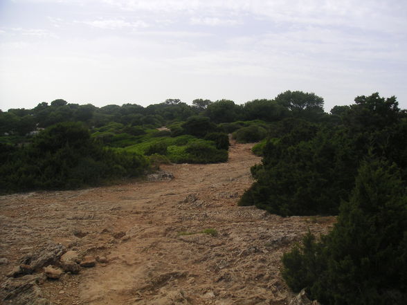 Mountainbiken auf Mallorca - 