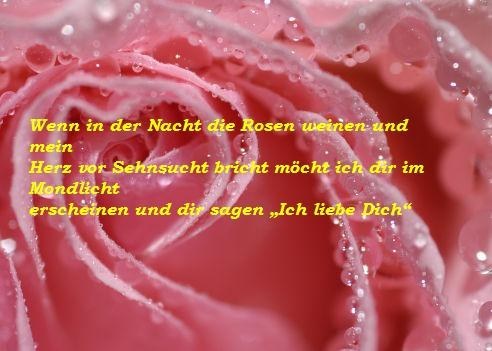 Sprüche über Liebe und Freundschaft - 