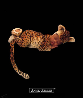 ANNE GEDDES - 