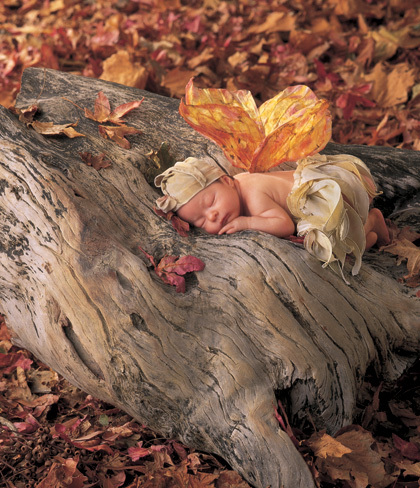 ANNE GEDDES - 