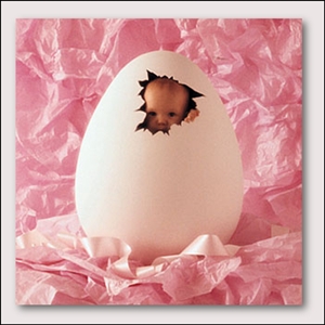 ANNE GEDDES - 