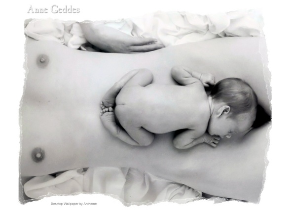 ANNE GEDDES - 