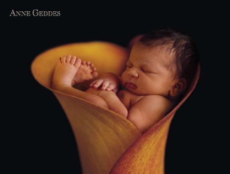 ANNE GEDDES - 