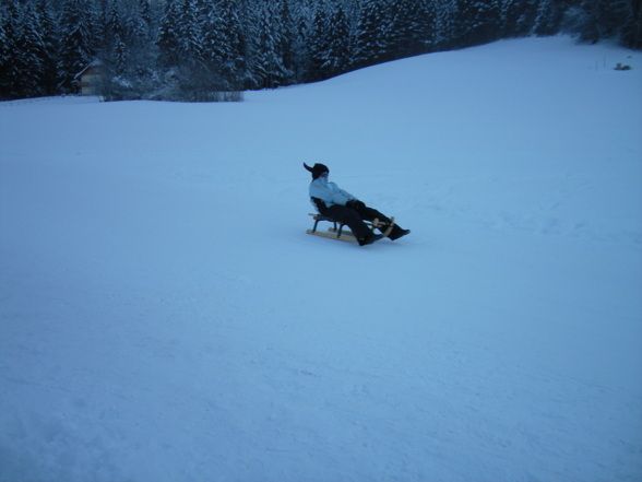 Schifoan in Abtenau  - 