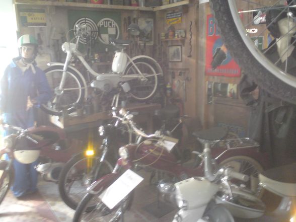 Puch (mopeds,motorräder) - 