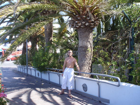 Teneriffa 2008 - 