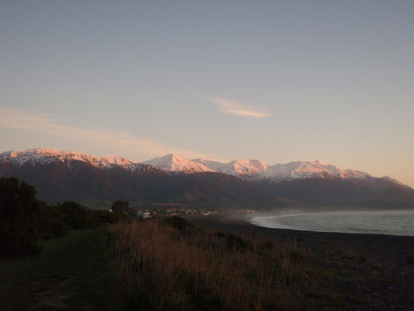 Kaikoura Whale Watching - 