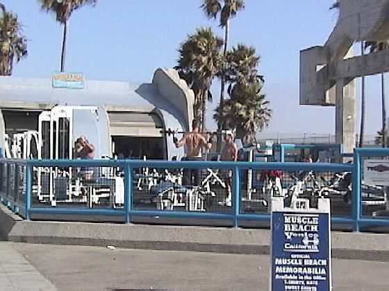 Muscle Beach C.A. - 