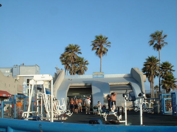 Muscle Beach C.A. - 