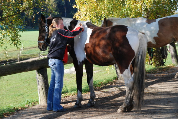 Wanderreiten der LFS Lambach - 