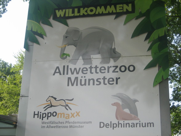 WARNER BROS.MOVIE WORLD & ZOO MÜNSTER - 