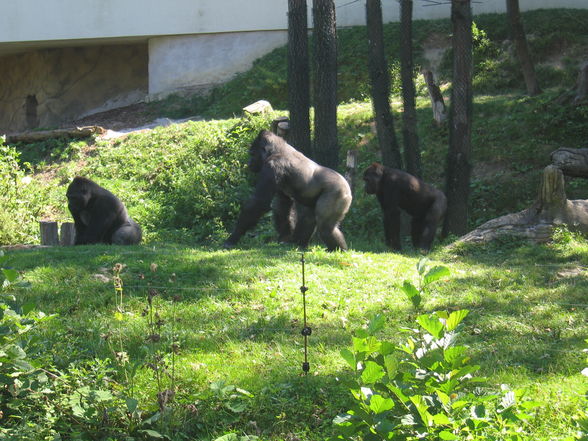 Tierpark Schmiding - 