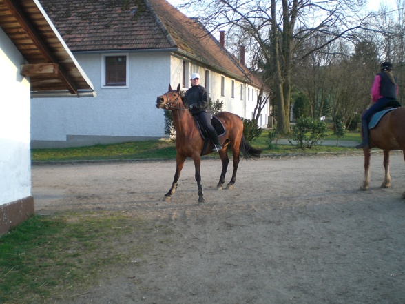 reitende Wirtshausrunde in Aktion - 