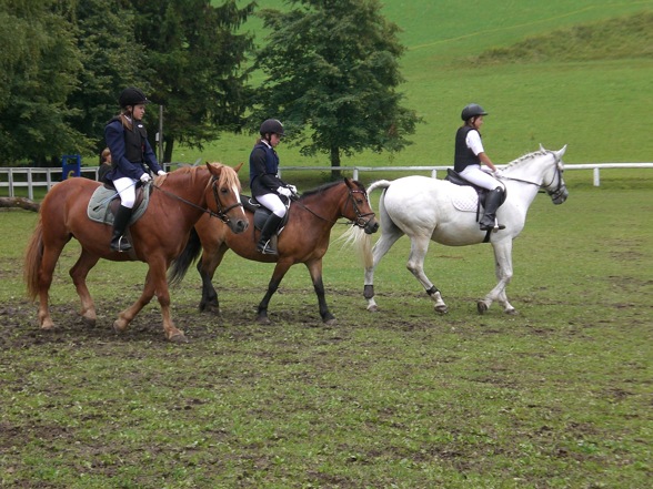 reitende Wirtshausrunde in Aktion - 