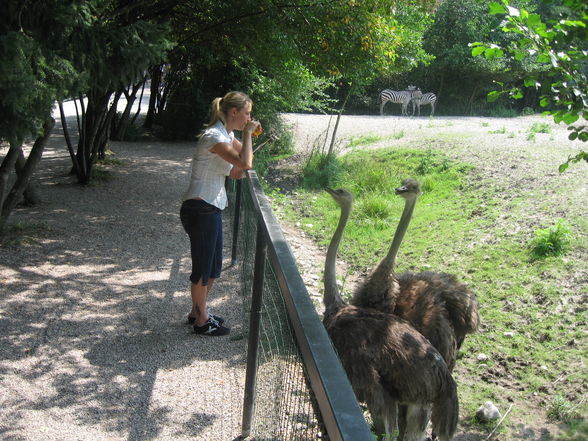 Wieder mal im Tierpark! - 