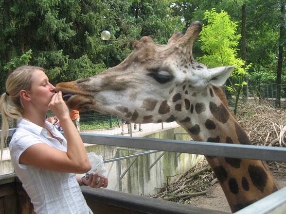 Wieder mal im Tierpark! - 