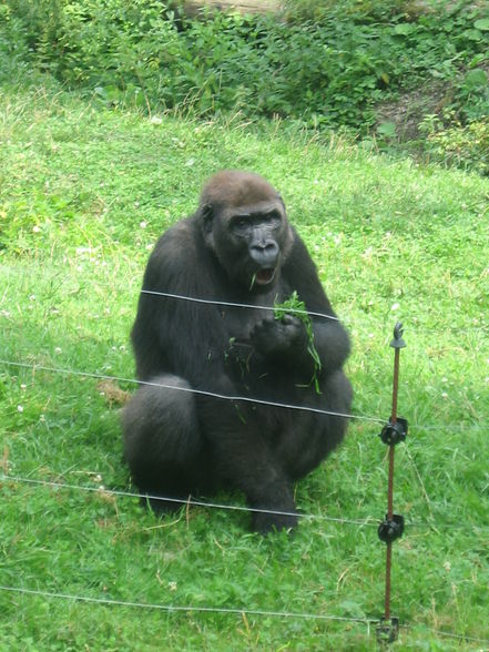 Wieder mal im Tierpark! - 