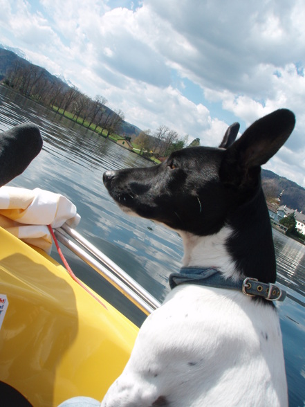 *Ich beim Bootfahren am Traunsee* - 