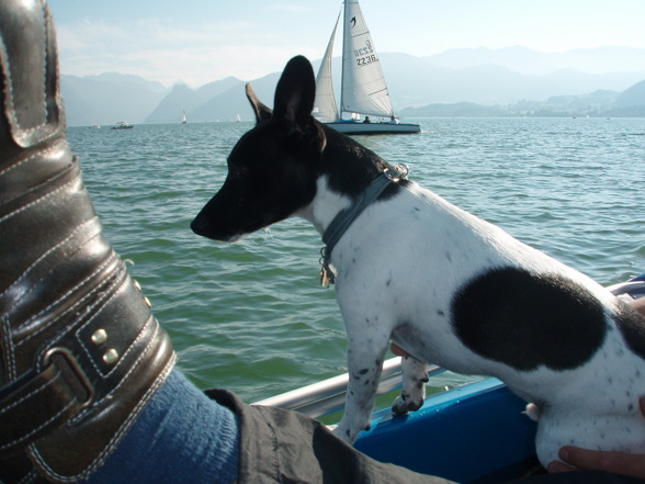 *Ich beim Bootfahren am Traunsee* - 