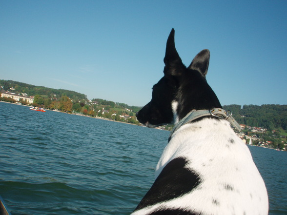 *Ich beim Bootfahren am Traunsee* - 