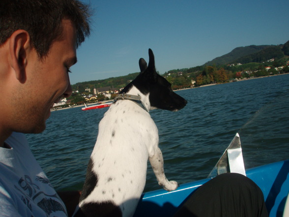 *Ich beim Bootfahren am Traunsee* - 