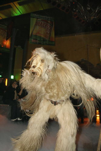 St. Leonharder Krampusse - 