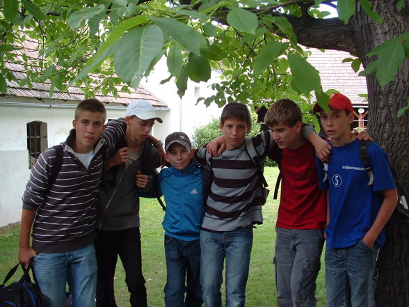 Ich und meine Freunde - 