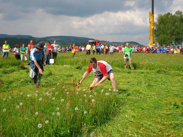 Landesmähen 2010 - 