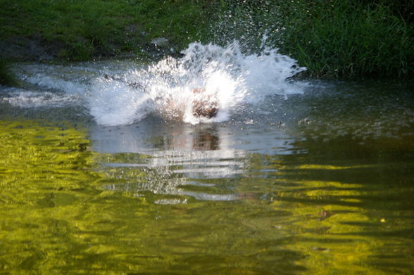 baden in mühllacken - 