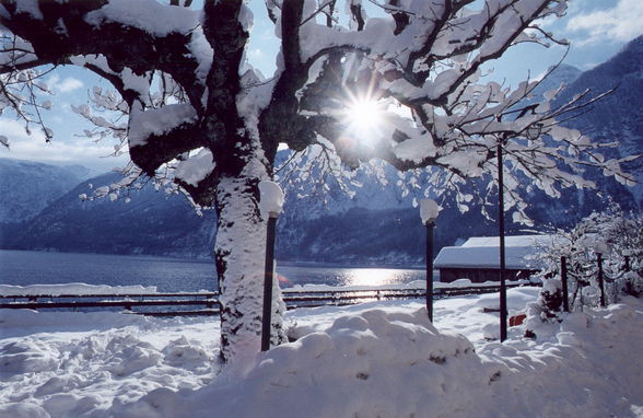 winter in hallstatt - 