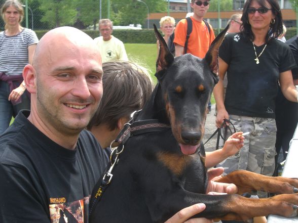 Dobermann-Weltmeisterschaft - 