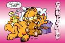 Garfield - 